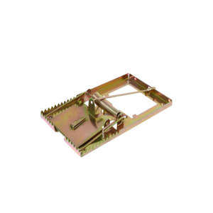 TRAMPA RATON MEDIANA